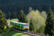 Waldbahn